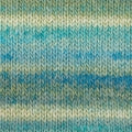 Patons Sierra CHUNKY 14ply